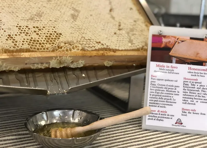 La Conchiglia Szálloda Bellaria – Igea Marina