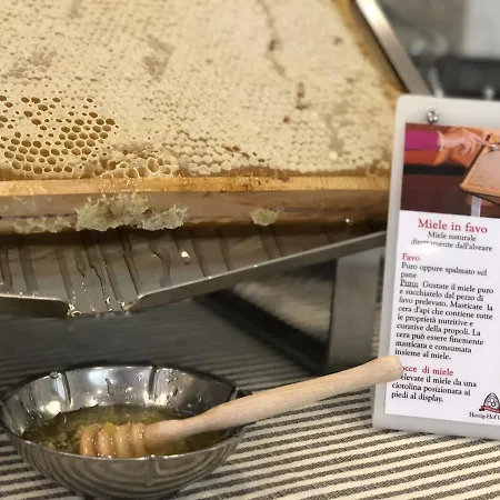 La Conchiglia Hotel Bellaria-Igea Marina