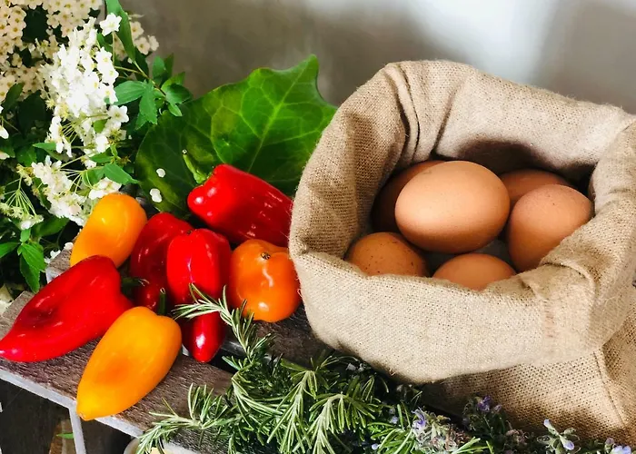 Hotel La Conchiglia 3*